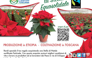 cartello-poinsettia-1