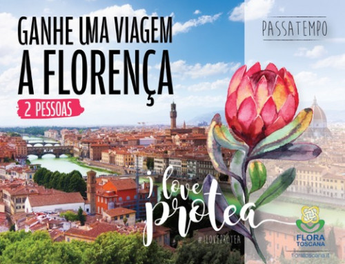 PASSATEMPO I LOVE PROTEA